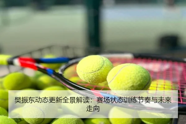 樊振东动态更新全景解读：赛场状态训练节奏与未来走向