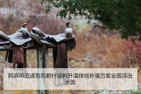 阿森纳追逐哲凯赖什谈判升温锋线补强方案全面浮出水面