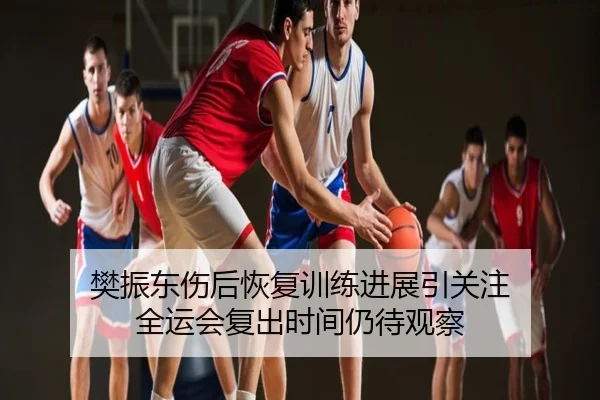 樊振东伤后恢复训练进展引关注 全运会复出时间仍待观察